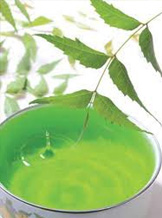Neem
